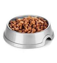 dog food